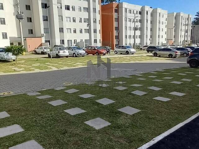 Apartamento para Venda em São Leopoldo - 2