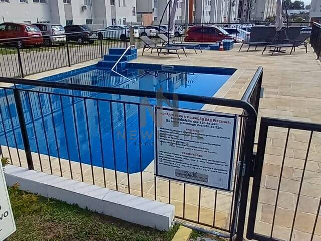 Apartamento para Venda em São Leopoldo - 3