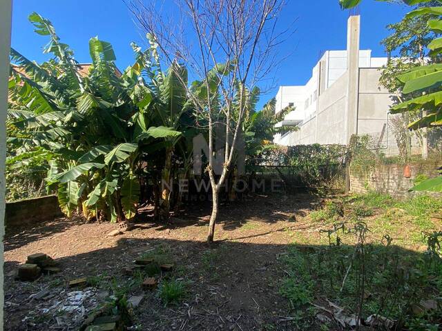 Terreno para Venda em São Leopoldo - 4