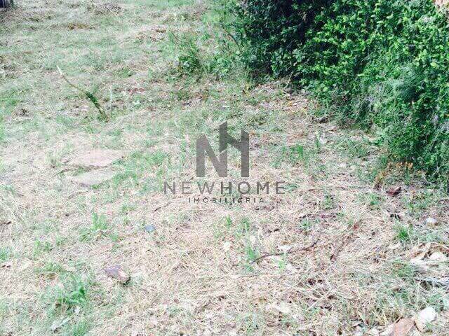 #1291 - Terreno para Venda em São Leopoldo - RS - 1