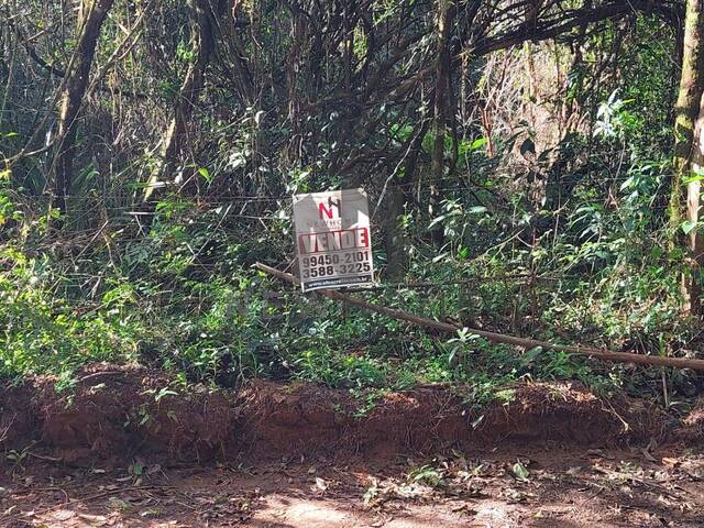 Chácara para Venda em São Leopoldo - 4
