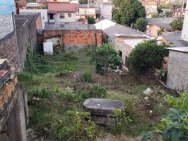 Área para Venda em São Leopoldo - 4
