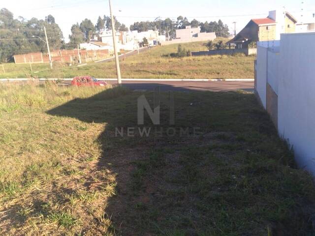 Terreno para Venda em Novo Hamburgo - 4
