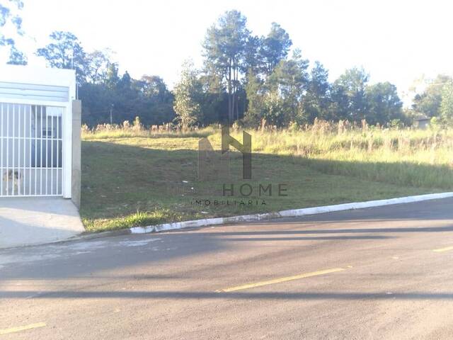 #1497 - Área para Venda em Novo Hamburgo - RS - 1
