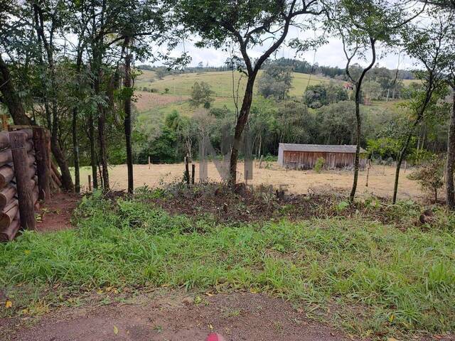 Terreno para Venda em Taquara - 4