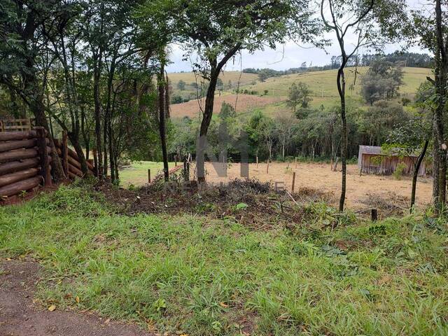 Terreno para Venda em Taquara - 5