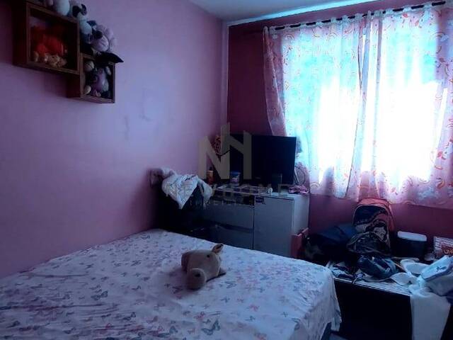 Apartamento para Venda em São Leopoldo - 5
