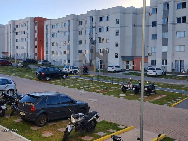 Apartamento para Venda em São Leopoldo - 4