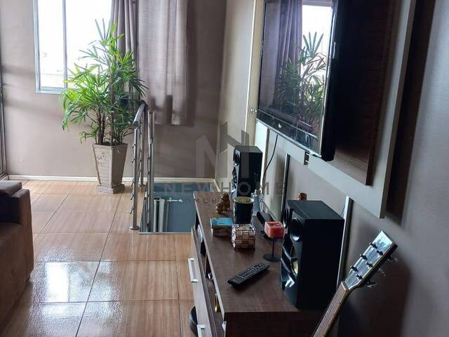 Apartamento para Venda em São Leopoldo - 5