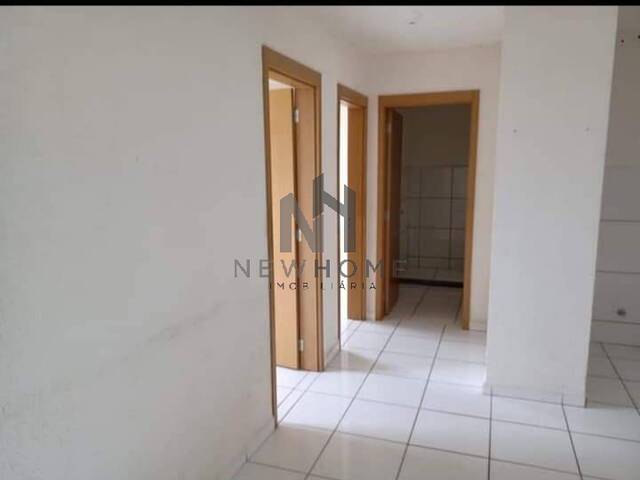 Apartamento para Venda em São Leopoldo - 5