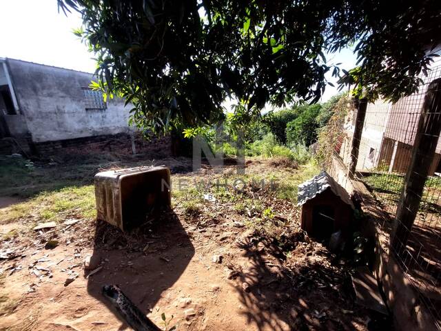 Área para Venda em São Leopoldo - 4