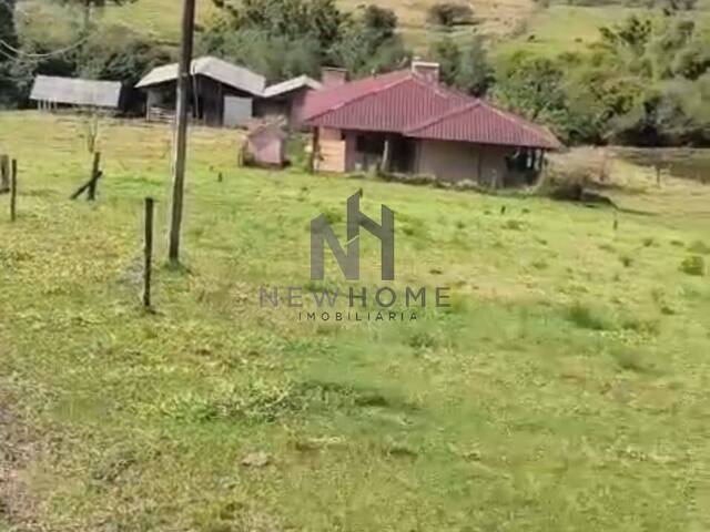 #1748 - Chácara para Venda em São Sebastião do Caí - RS - 2