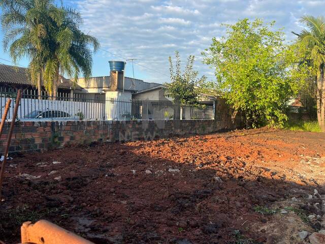 Área para Venda em São Leopoldo - 5