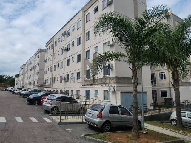 Apartamento para Venda em São Leopoldo - 5
