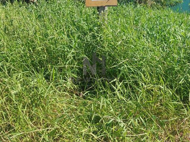 Área para Venda em São Leopoldo - 4