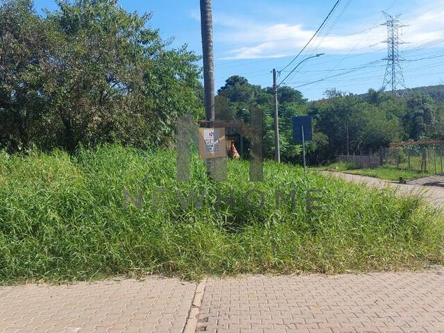 Área para Venda em São Leopoldo - 5