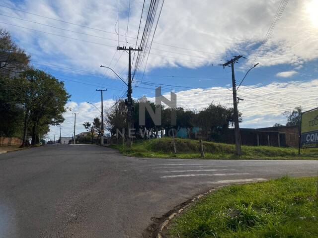 Área para Venda em Portão - 3