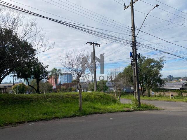 Área para Venda em Portão - 5