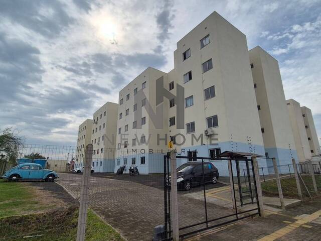 Apartamento para Venda em São Leopoldo - 5