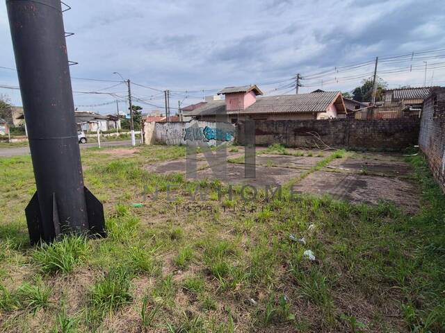 Área para Venda em São Leopoldo - 3