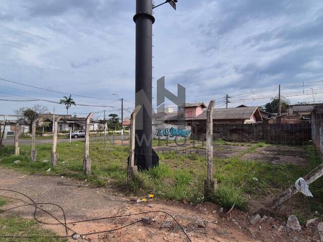 Área para Venda em São Leopoldo - 4