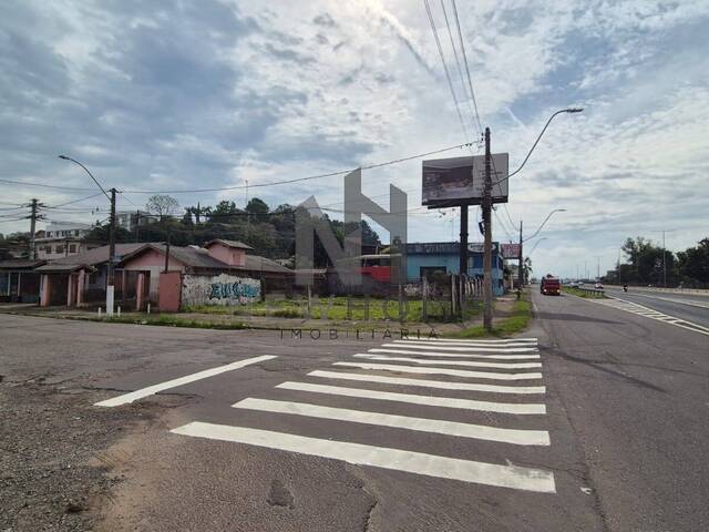 Área para Venda em São Leopoldo - 5